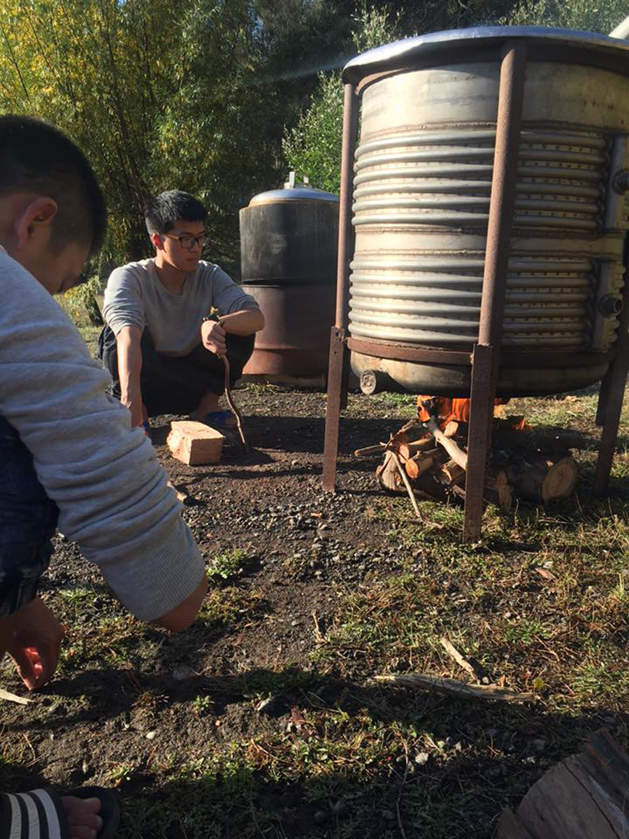 Outdoor Cooking tomatos 野外炊事